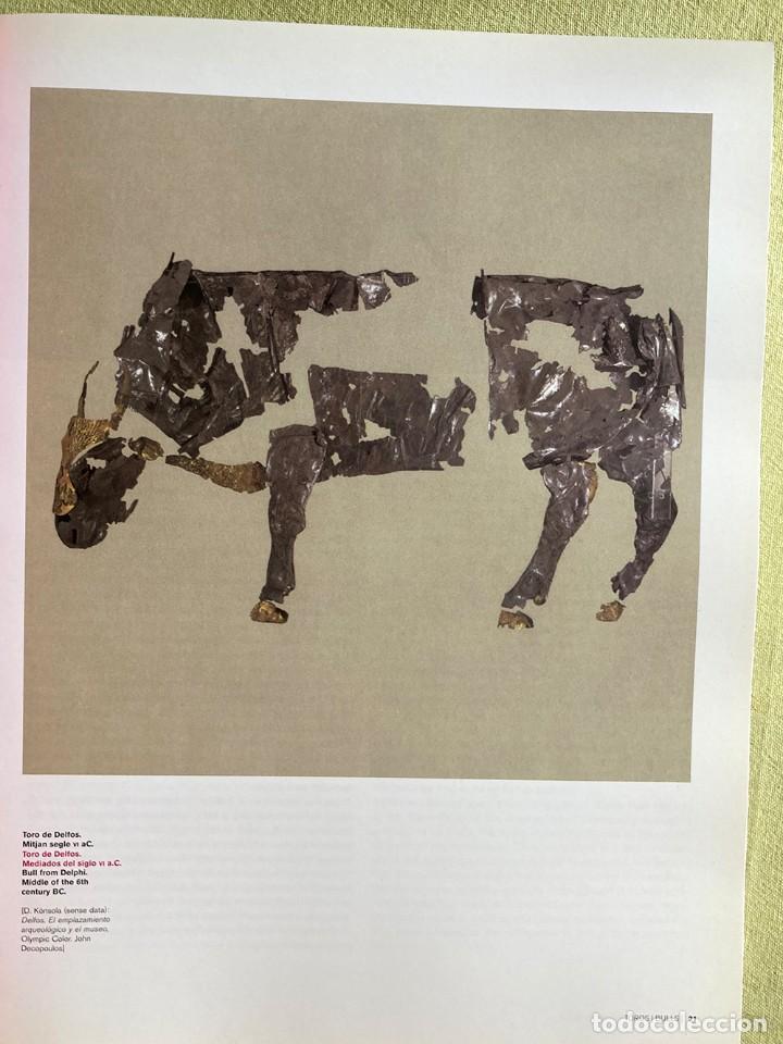 Coleccionismo: Toros - Bulls - Foto 3