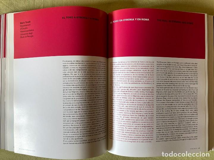 Coleccionismo: Toros - Bulls - Foto 6