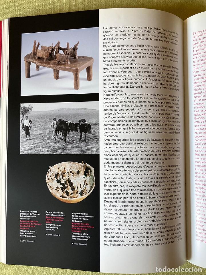 Coleccionismo: Toros - Bulls - Foto 7