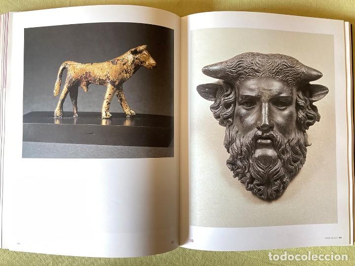 Coleccionismo: Toros - Bulls - Foto 10