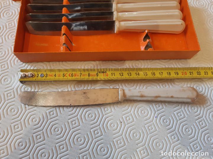 Coleccionismo: CAJA ANTIGUO CUCHILLOS INOXIDABLE MANGO DE PLASTICO. - Foto 3