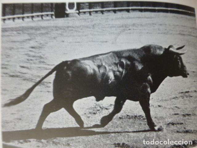 Collecting paper: CORRIDA DE TOROS ANTIGUA LAMINA A&Ntilde;OS 30