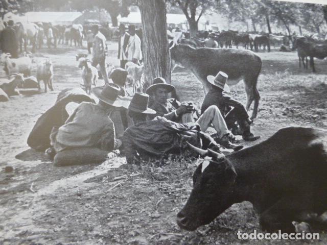 Colecionismo: CORDOBA ANTIGUA LAMINA A&Ntilde;OS 30