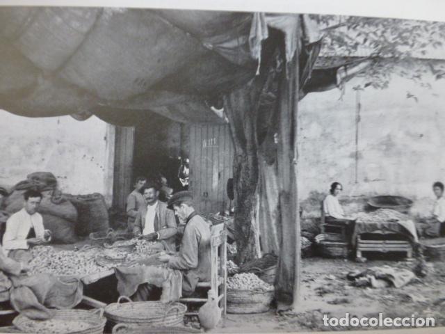 Coleccionismo: SEVILLA ANTIGUA LAMINA A&Ntilde;OS 30
