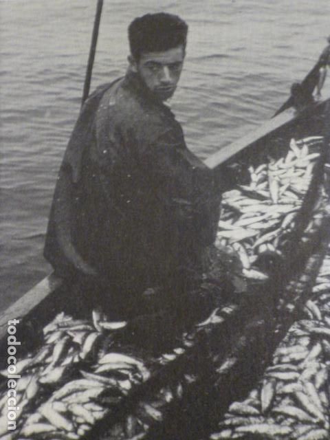 Colecionismo: COMBARRO PONTEVEDRA ANTIGUA LAMINA HUECOGRABADO A&Ntilde;OS 50