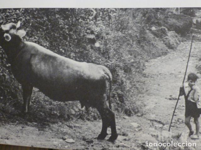 Sammelleidenschaft Papier: LA RIERA CANGAS DE ONIS ASTURIAS ANTIGUA LAMINA HUECOGRABADO A&Ntilde;OS 50
