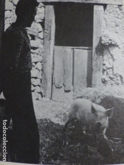 Sammelleidenschaft Papier: LA RIERA CANGAS DE ONIS ASTURIAS ANTIGUA LAMINA HUECOGRABADO A&Ntilde;OS 50