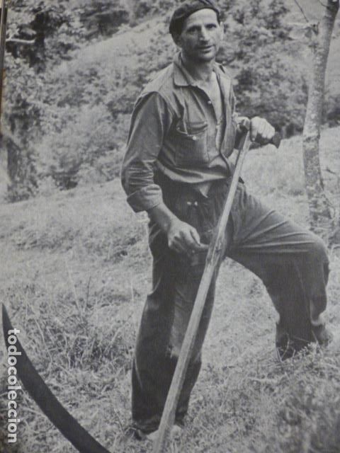 Colecionismo: LA RIERA CANGAS DE ONIS ASTURIAS ANTIGUA LAMINA HUECOGRABADO A&Ntilde;OS 50