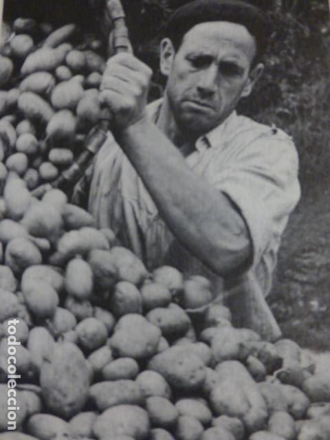 Colecionismo: LA RIERA CANGAS DE ONIS ASTURIAS ANTIGUA LAMINA HUECOGRABADO A&Ntilde;OS 50