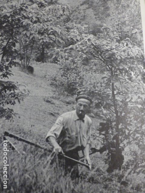 Coleccionismo: LA RIERA CANGAS DE ONIS ASTURIAS ANTIGUA LAMINA HUECOGRABADO A&Ntilde;OS 50