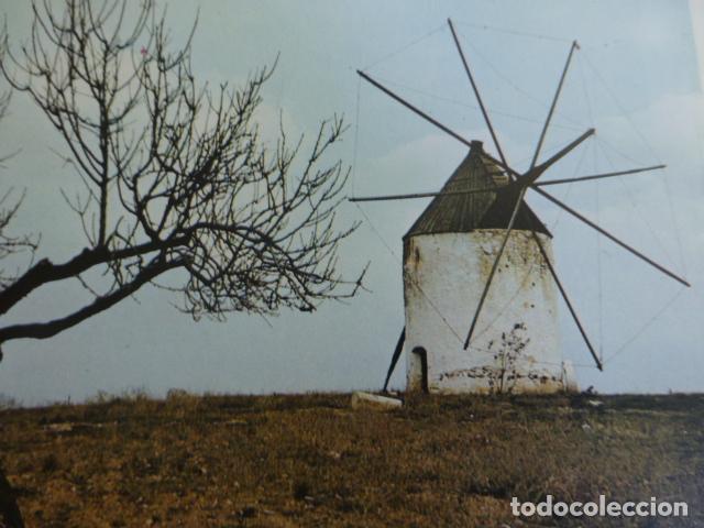 Sammelleidenschaft Papier: LOS ALCAZARES MURCIA ANTIGUA LAMINA HUECOGRABADO