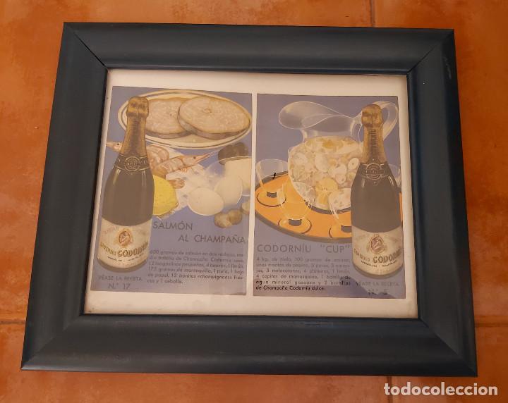 Coleccionismo: LAMINAS ENMARCADA CODORNIU