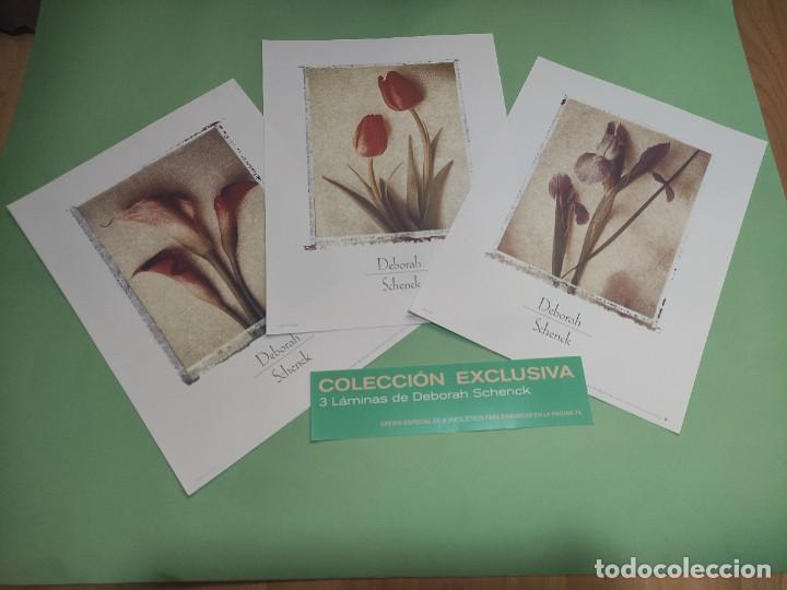 Coleccionismo: Litograf&iacute;a de pintura, Calla Lilly, Deborah Schenck, 27,5 x 21 cms