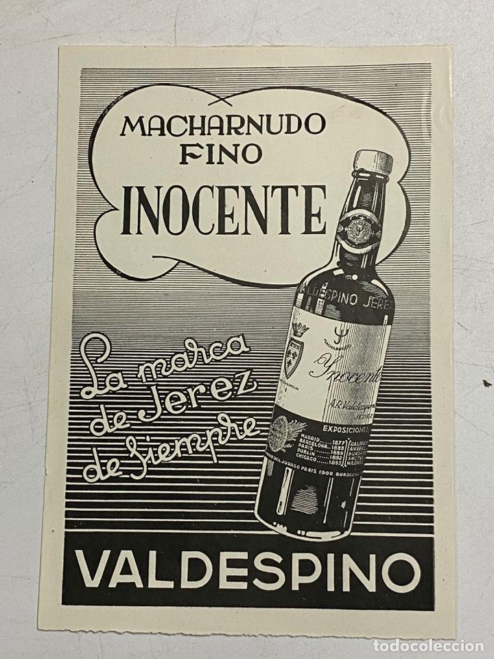 Coleccionismo: HOJA PUBLICITARIA DE MACHARNUDO FINO INOCENTE. BODEGAS VALDESPINO. JEREZ. VER