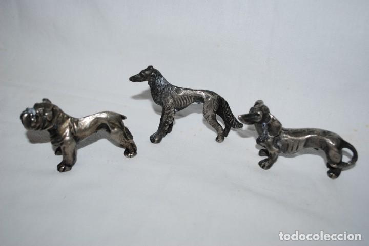 Collecting: LOTE DE PERRITOS DE COLECCION