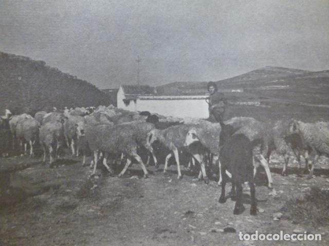 Collezionismo: VILLAVALIENTE ALBACETE ANTIGUA LAMINA HUECOGRABADO