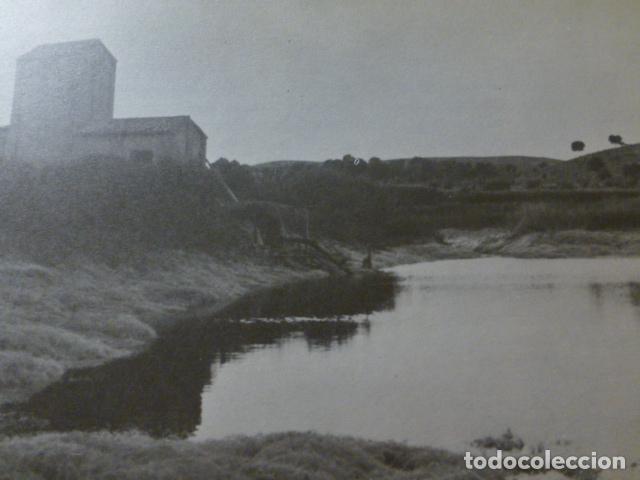 Collectionnisme: LAGUNA DE ALBORA ALBACETE ANTIGUA LAMINA HUECOGRABADO