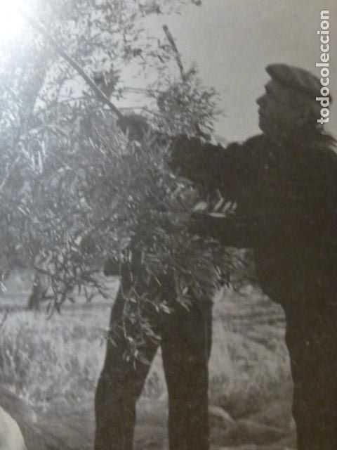 Collezionismo: HELLIN ALBACETE ANTIGUA LAMINA HUECOGRABADO
