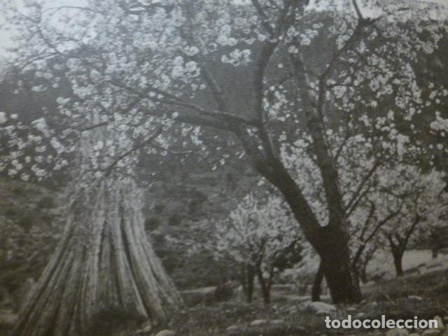 Collecting paper: HELLIN ALBACETE ANTIGUA LAMINA HUECOGRABADO