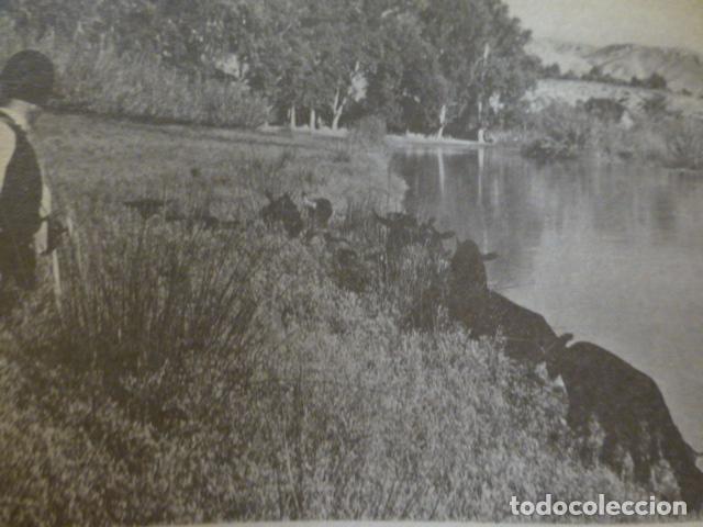 Collectionnisme: CIEZA MURCIA ANTIGUA LAMINA HUECOGRABADO