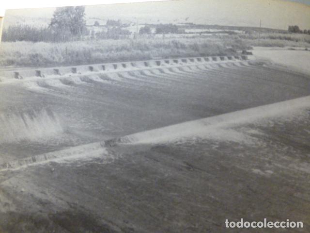 Collezionismo: LA HUERTA MURCIA ANTIGUA LAMINA HUECOGRABADO