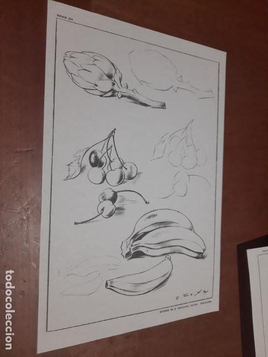 Collectionnisme: 1/4. FRUTA Y VERDURA. L&Aacute;MINA DE EMILIO FREIXAS. SERIE 1. UNA CARA. BUEN ESTADO.