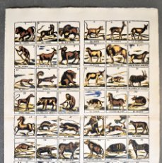 Coleccionismo: ANIMALES. ALELUYA - AUCA
