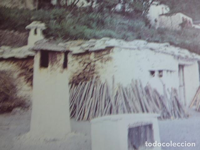 Collectionnisme: PAMPANEIRA GRANADA ANTIGUA LAMINA HUECOGRABADO