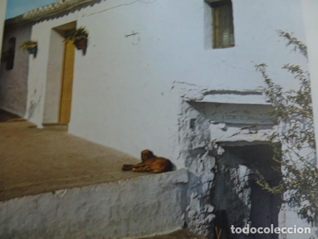 Coleccionismo: SAYALONGA MALAGA ANTIGUA LAMINA HUECOGRABADO