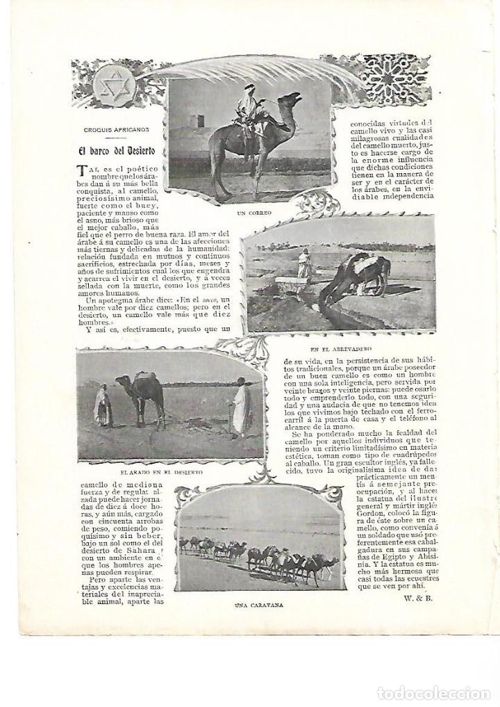 Colecionismo: A&Ntilde;O 1903 RECORTE PRENSA CAMELLOS EL BARCO DEL DESIERTO ARADO CORREO CARAVANA ANIMALES