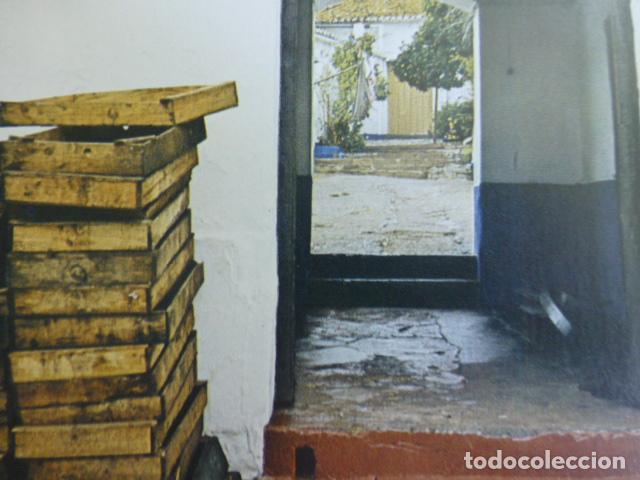 Coleccionismo: VILLANUEVA DE LOS CASTILLEJOS HUELVA ANTIGUA LAMINA HUECOGRABADO