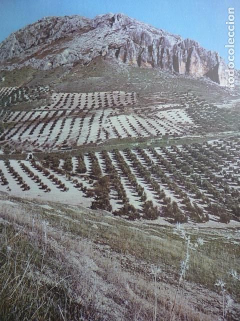 Collecting paper: JODAR JAEN ANTIGUA LAMINA HUECOGRABADO