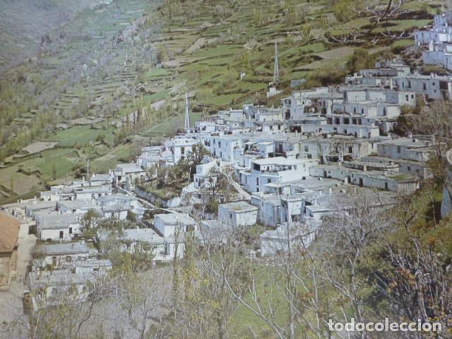 Coleccionismo: PAMPANEIRA GRANADA ANTIGUA LAMINA HUECOGRABADO