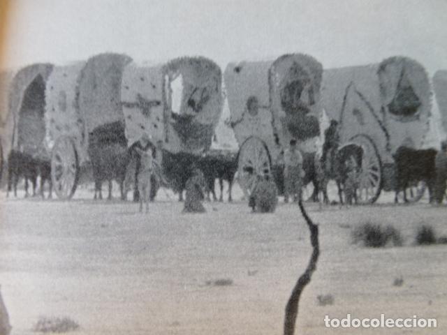 Coleccionismo: ALMONTE EL ROCIO HUELVA ANTIGUA LAMINA HUECOGRABADO