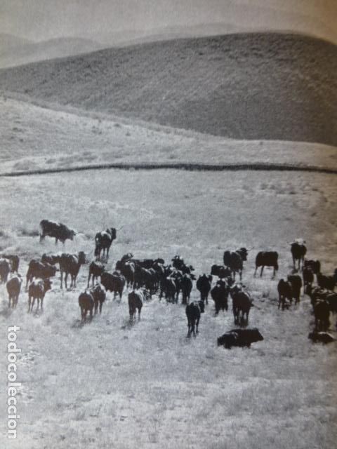 Coleccionismo: SIERRA DE ARACENA HUELVA ANTIGUA LAMINA HUECOGRABADO