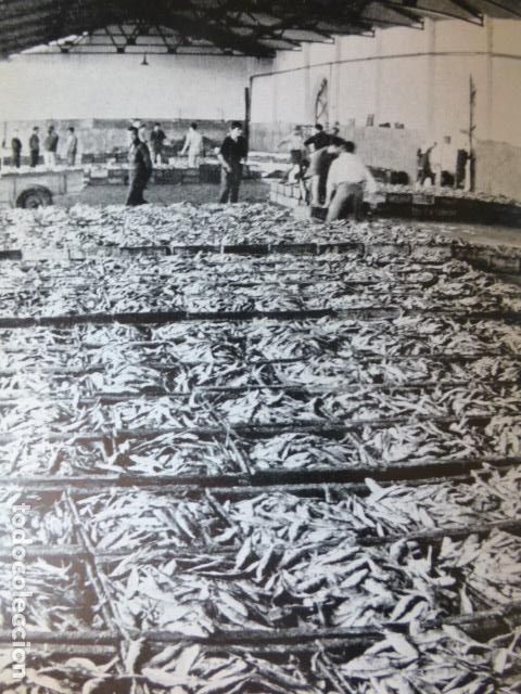 Collecting paper: ISLA CRISTINA HUELVA ANTIGUA LAMINA HUECOGRABADO