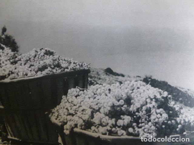 Colecionismo: GARACHICO TENERIFE ANTIGUA LAMINA HUECOGRABADO