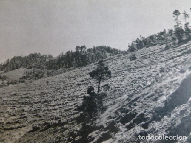 Collectionnisme: TENERIFE ANTIGUA LAMINA HUECOGRABADO