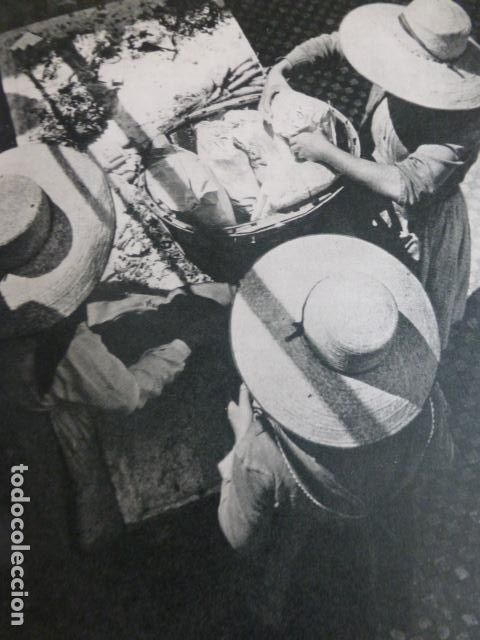 Collezionismo: TENERIFE ANTIGUA LAMINA HUECOGRABADO