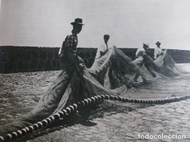 Collezionismo: TENERIFE ANTIGUA LAMINA HUECOGRABADO