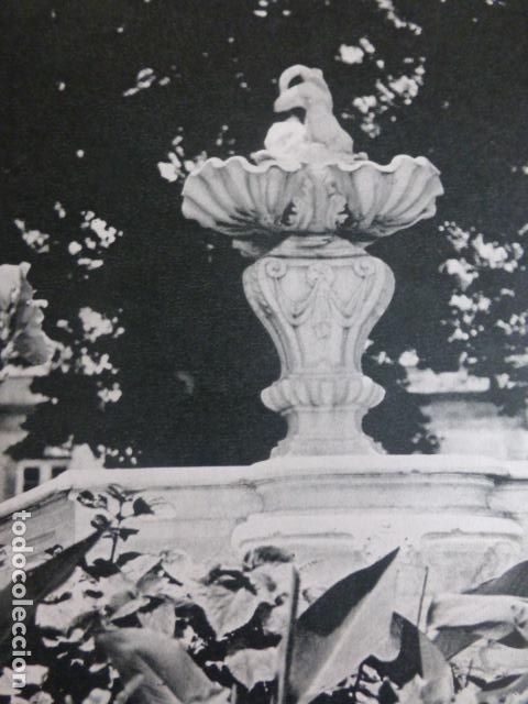 Collezionismo: SANTA CRUZ DE TENERIFE ANTIGUA LAMINA HUECOGRABADO