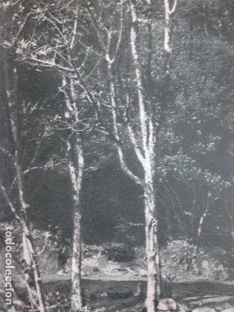 Collectionnisme: LAS MERCEDES TENERIFE ANTIGUA LAMINA HUECOGRABADO