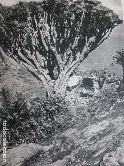 Collectionnisme: TAGANAGA TENERIFE ANTIGUA LAMINA HUECOGRABADO