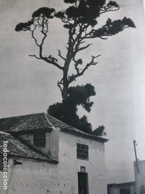 Collezionismo: LA VICTORIA DEL ACENTEJO TENERIFE ANTIGUA LAMINA HUECOGRABADO