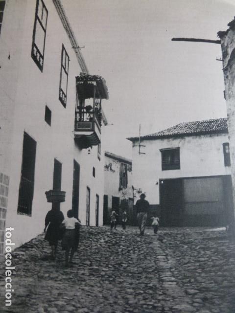 Coleccionismo: PUERTO DE LA CRUZ TENERIFE ANTIGUA LAMINA HUECOGRABADO