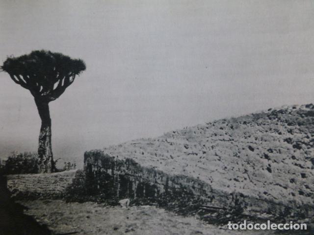 Collezionismo: SAN JUAN DEL REPARO TENERIFE ANTIGUA LAMINA HUECOGRABADO