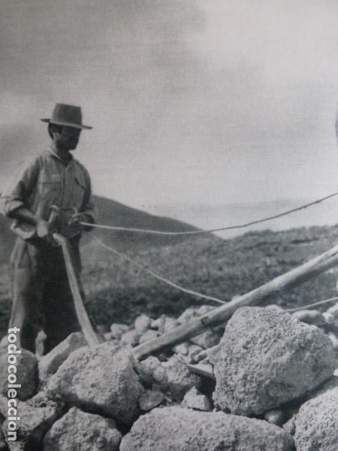 Coleccionismo: VALLE DE ABONA TENERIFE ANTIGUA LAMINA HUECOGRABADO