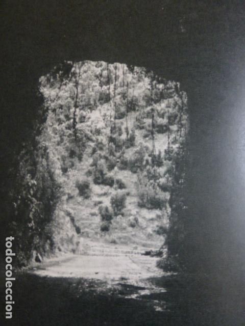 Collezionismo: ISLA DE LA PALMA ANTIGUA LAMINA HUECOGRABADO