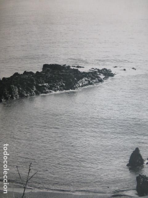 Collezionismo: ISLA DE LA PALMA ANTIGUA LAMINA HUECOGRABADO