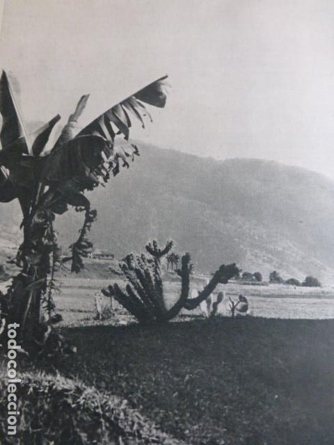 Collezionismo: BUENAVISTA LA PALMA ANTIGUA LAMINA HUECOGRABADO
